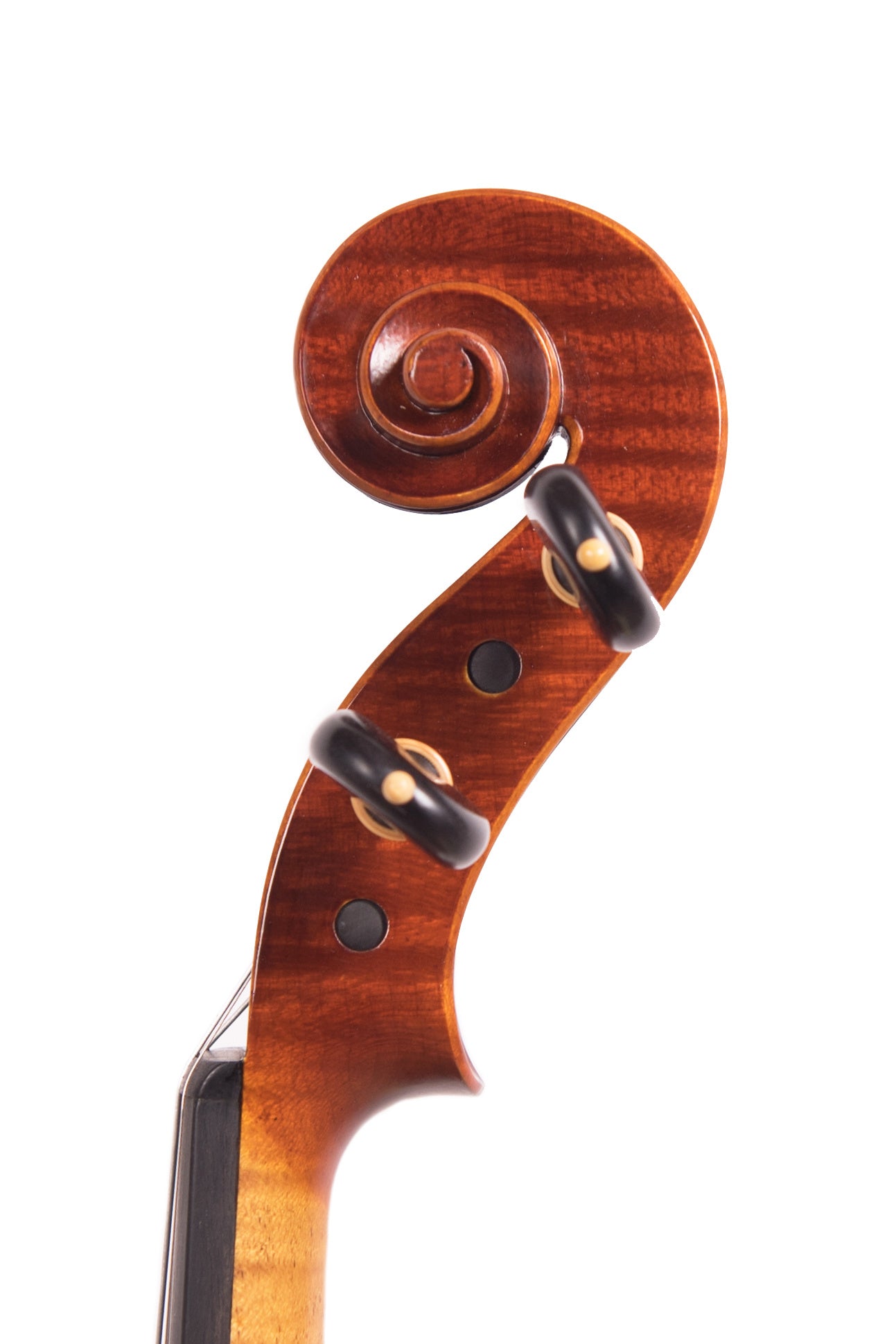 Davide Negroni violin, 2023, Cremona, ITALY