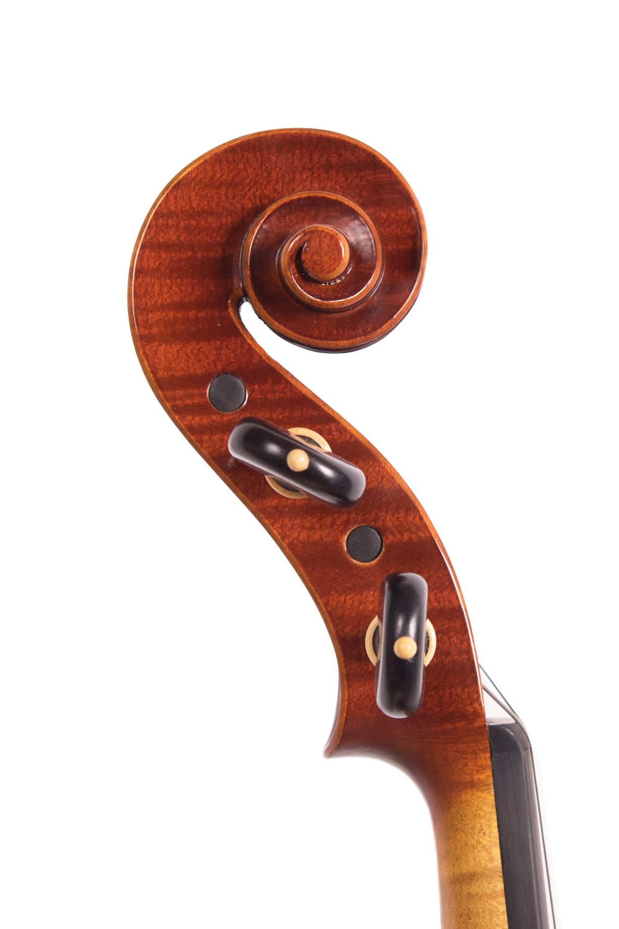 Davide Negroni violin, 2023, Cremona, ITALY