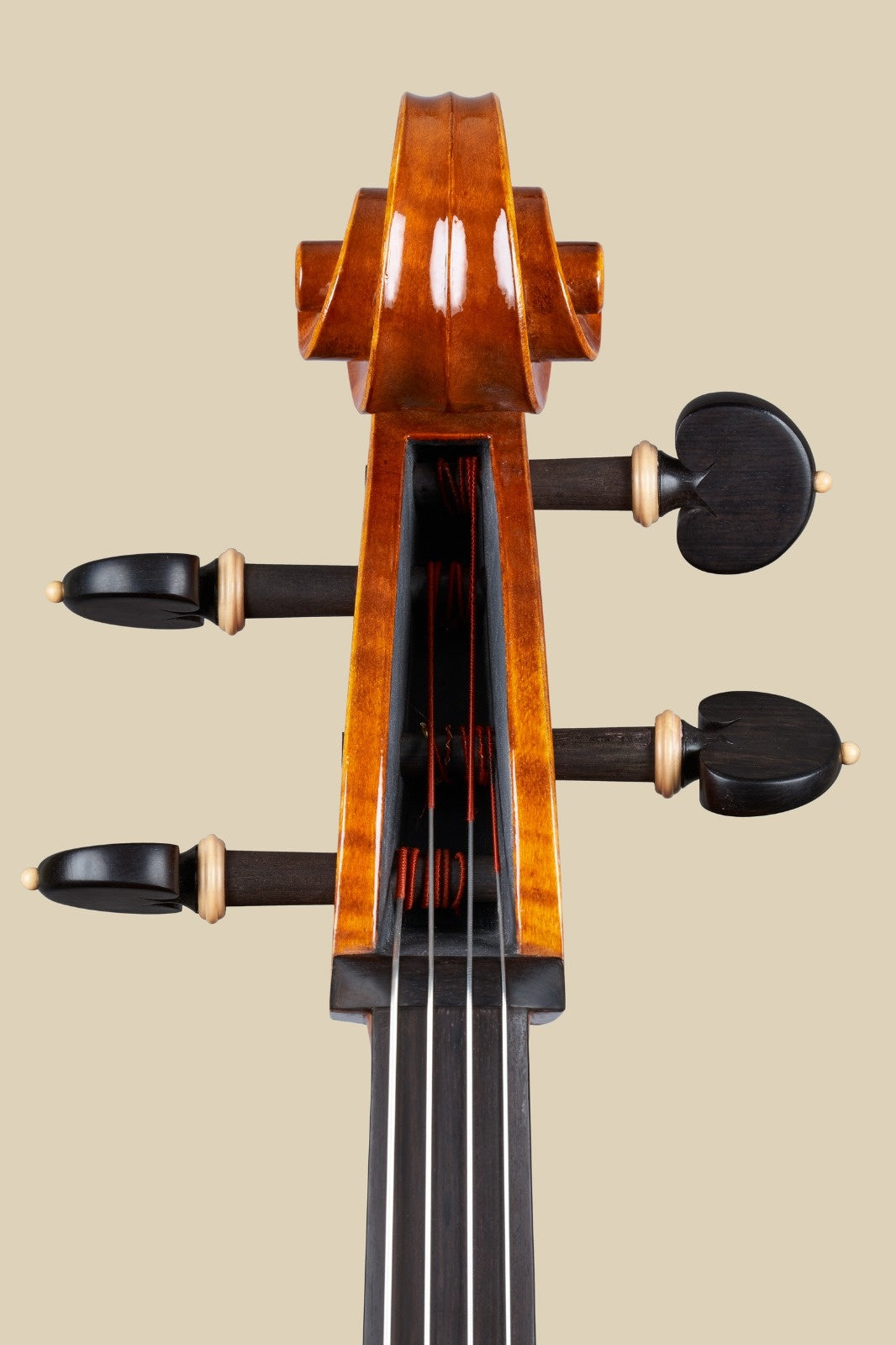 Luca Pirini cello, 2022, Cremona, | Metzler Violins