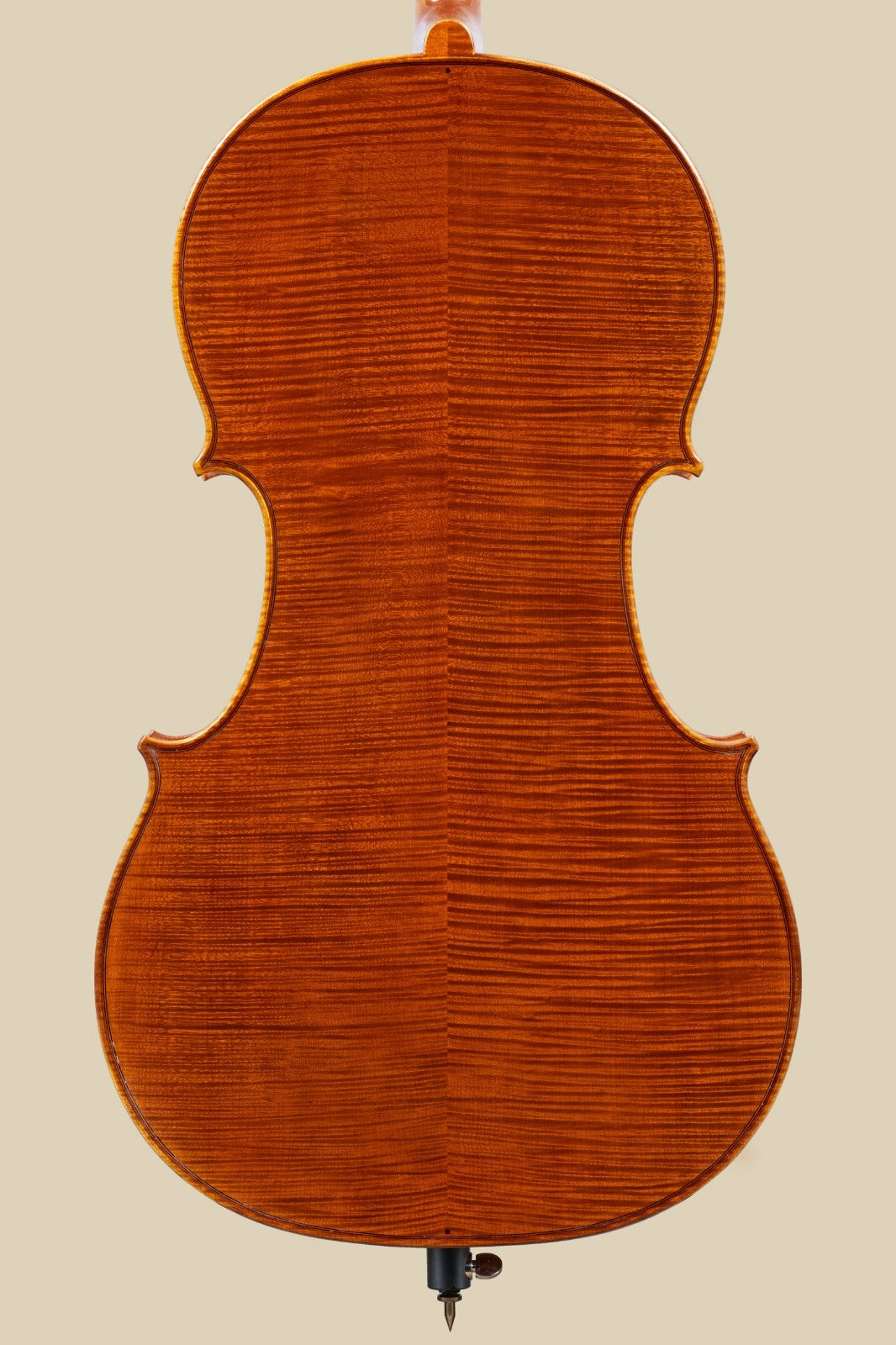 Luca Pirini cello, 2022, Cremona, | Metzler Violins