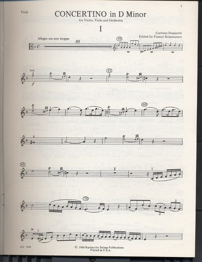 Donizetti, Gaetano (Sciannameo): Concertino in D minor for Violin & Viola with piano accompaniment