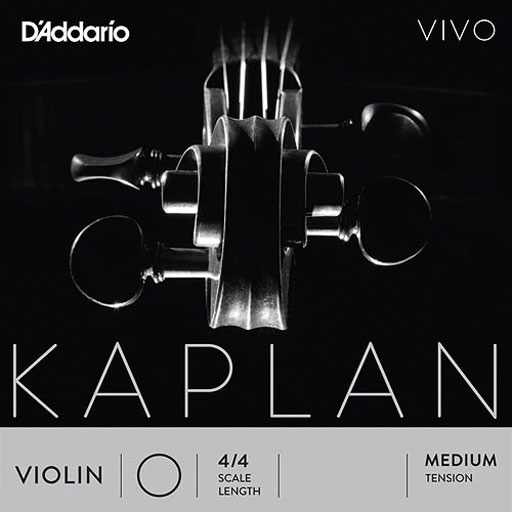 D'Addario KAPLAN VIVO 4/4 violin A string, master