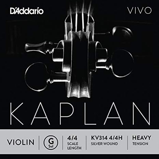 D'Addario KAPLAN VIVO 4/4 violin G string, master