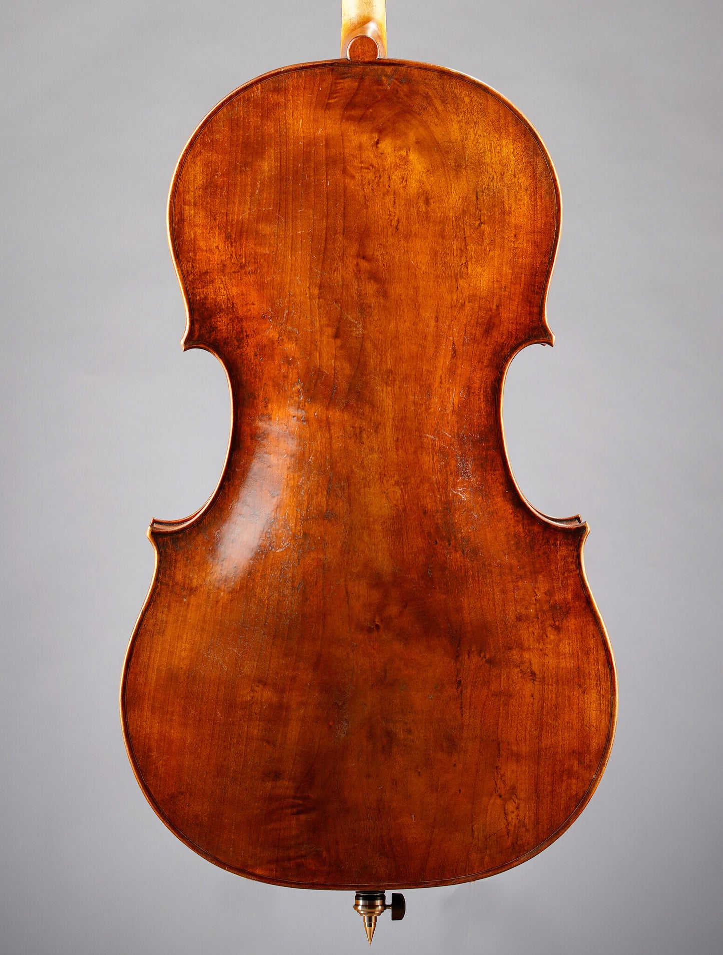 Marinos Glitsos cello, willow back, 2024, St. Paul, MN | Metzler Violins