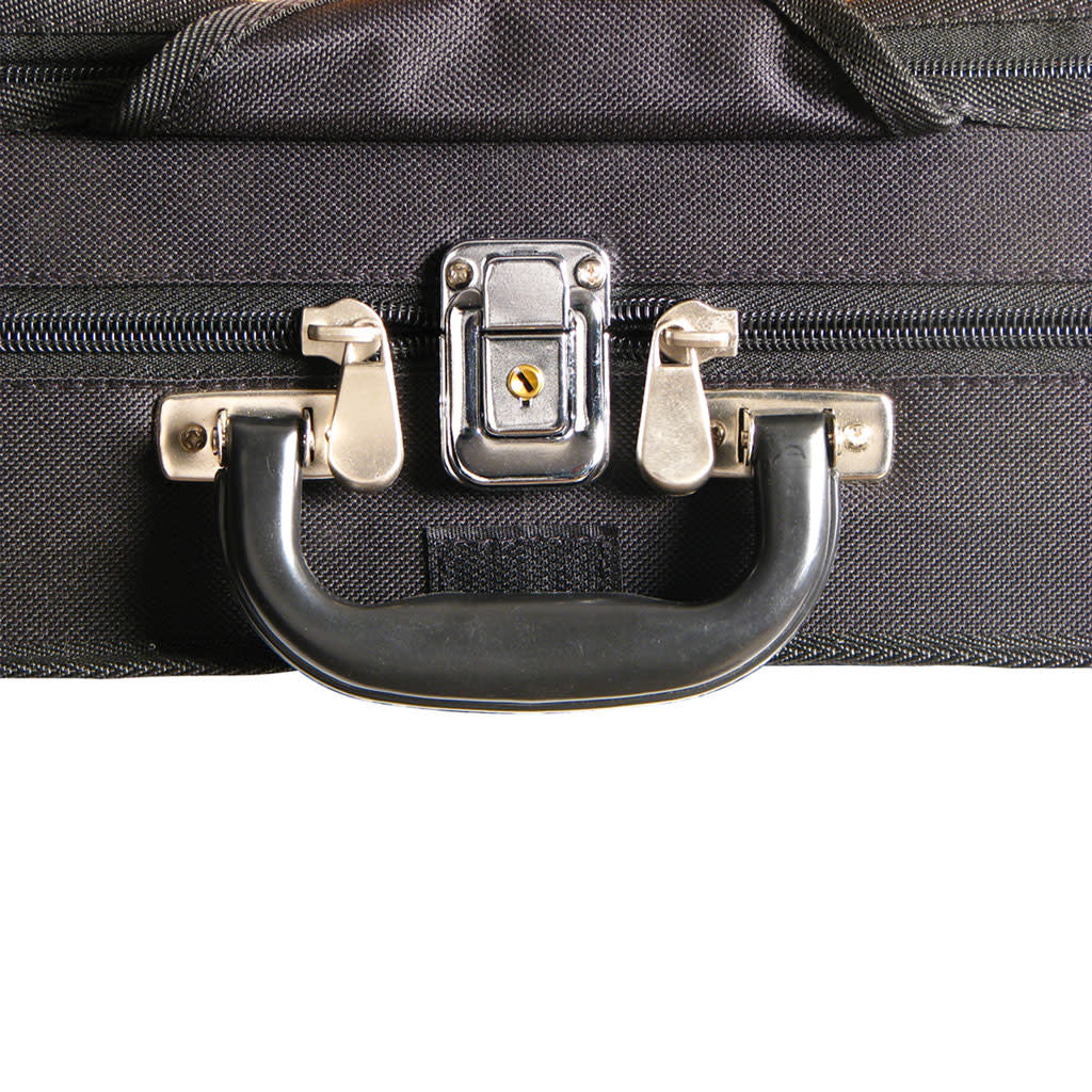 Core shaped violin case