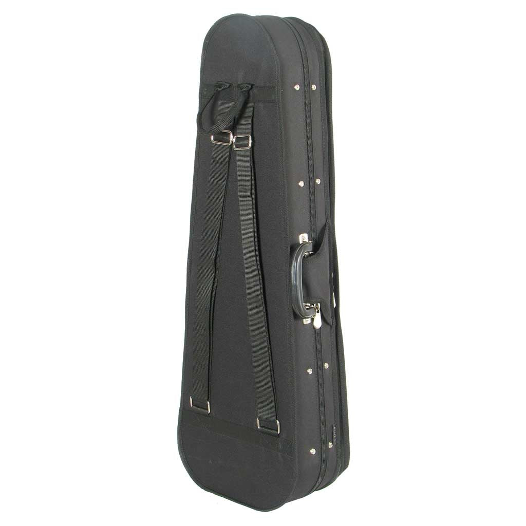 Core shaped violin case
