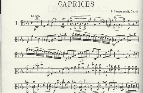 Campagnoli, Bartolomeo: 41 Caprices Op.22 for Viola