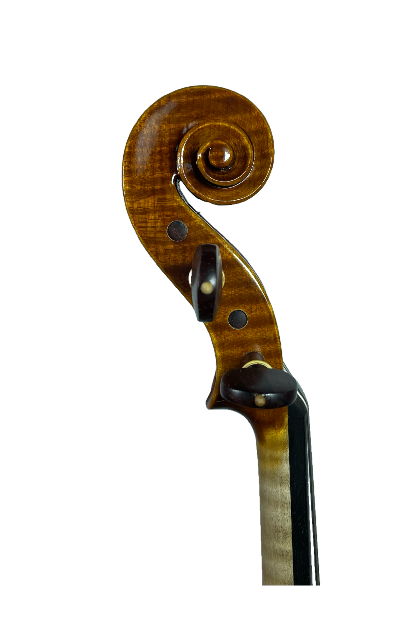 Rogério Fagundes Neto 4/4 violin, São Paulo, 2023 | Metzler Violins