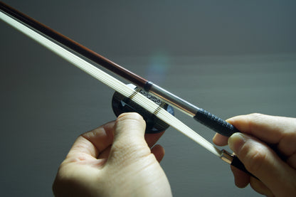 Cecilia ''Sanctus" Rosin (Viola) | Metzler Violins