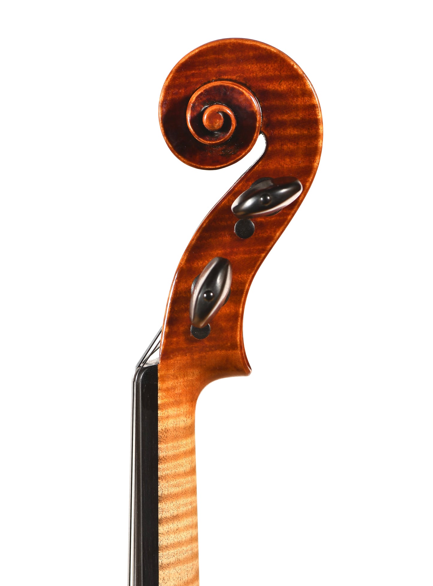 Jaime Gabriel González 15 1/2" viola, Boston, 2026 | Metzler Violins