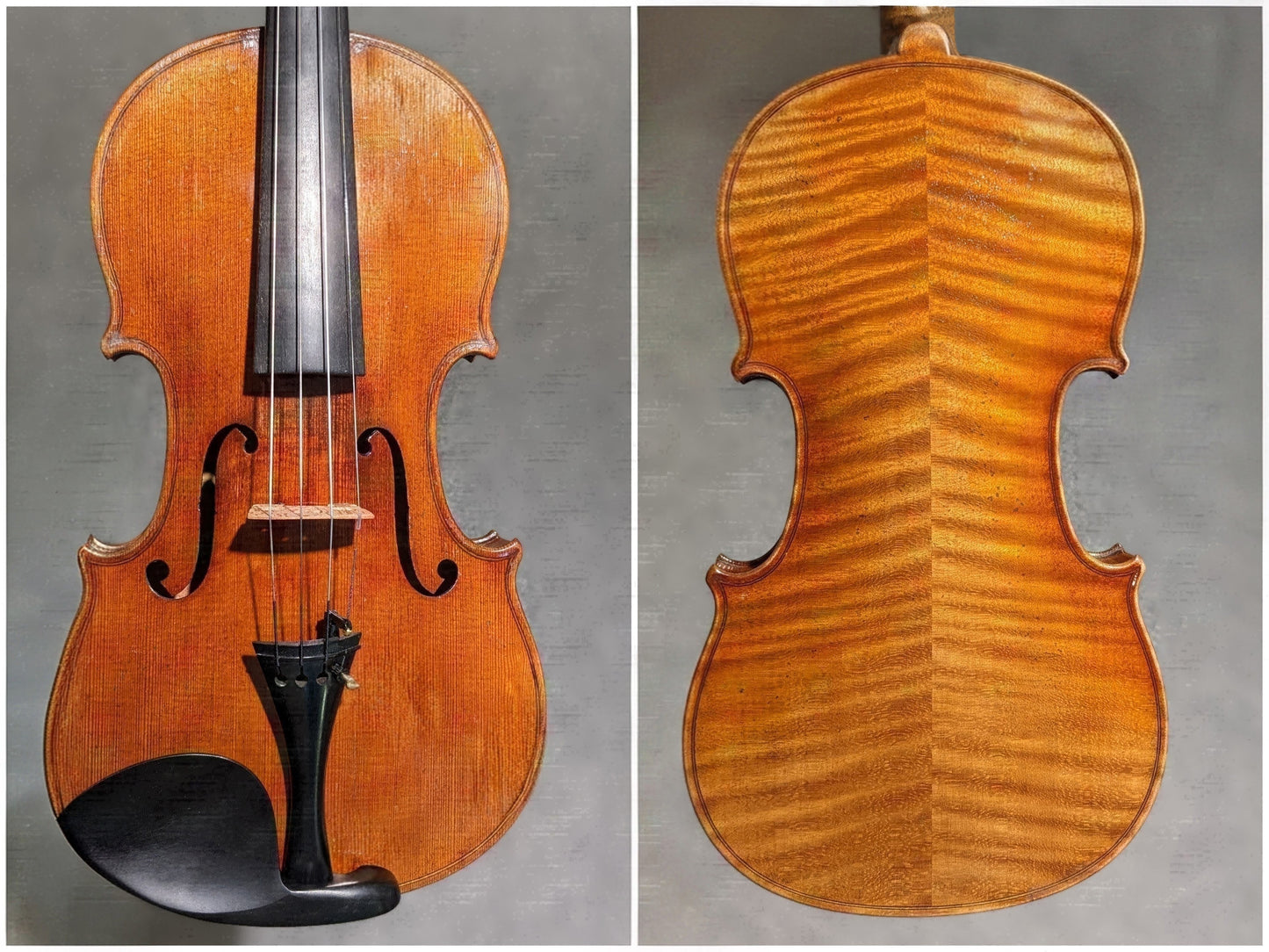 German violin, unlabeled, circa 1890 | Metzler Violins