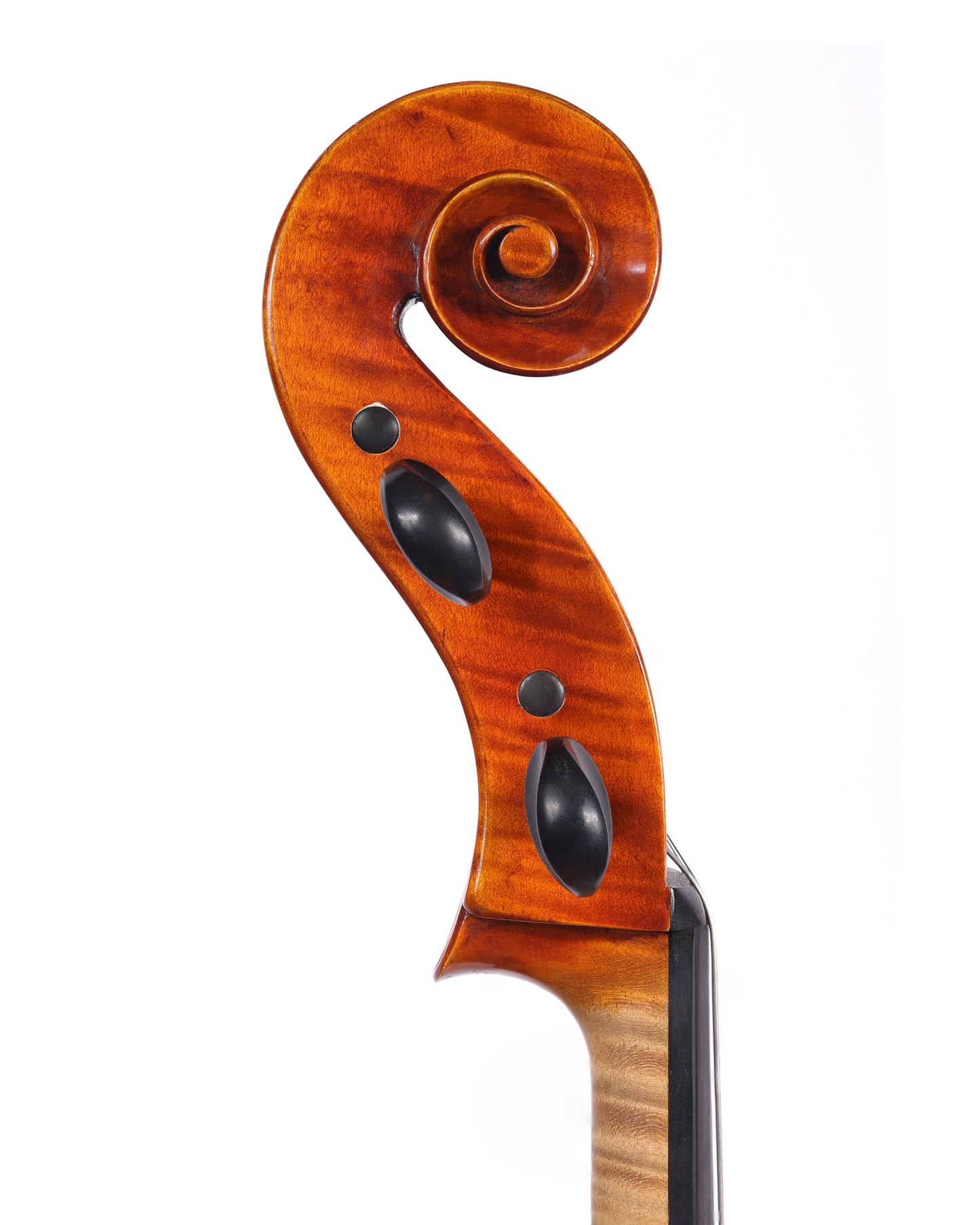 Jan Szlachtowski cello, Montagnana model, 2025, Nowy Targ | Metzler Violins