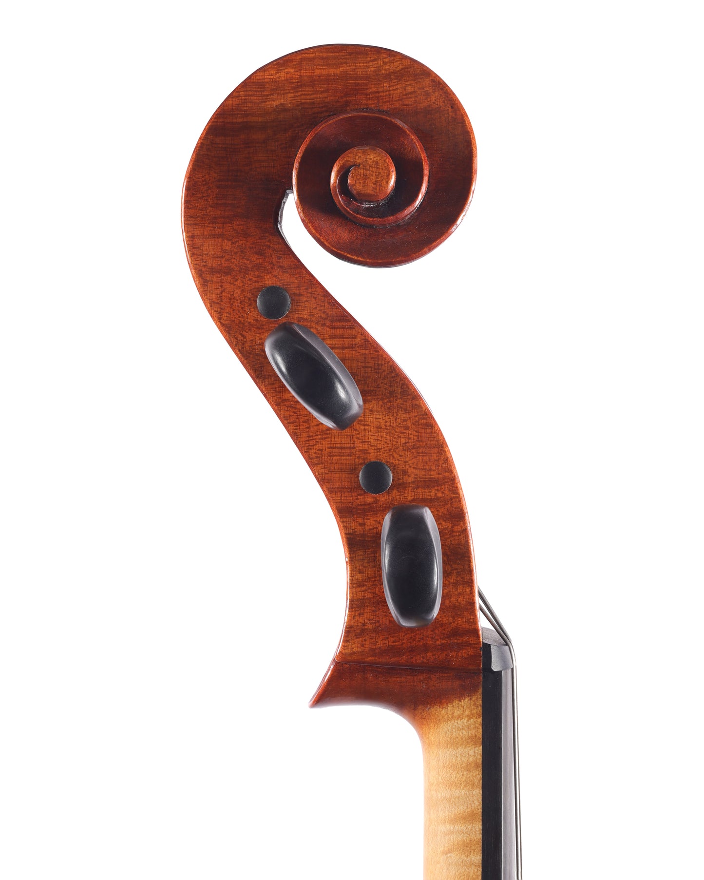 Jason Starkie cello, 2023, "Strad model", Seattle, USA