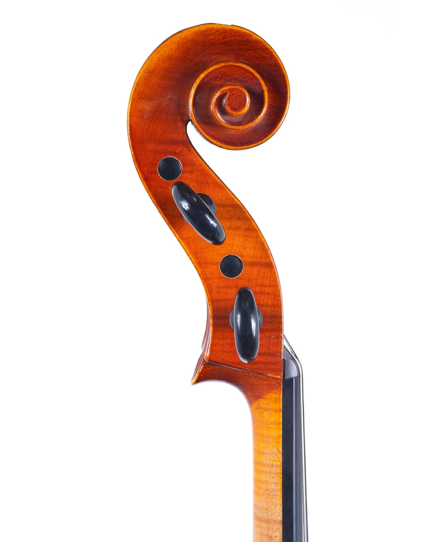 Stöhr, Illner, Riedl ( S.I.R. ) cello, 1987, Beiersdorf - Igelsdorf | Metzler Violins
