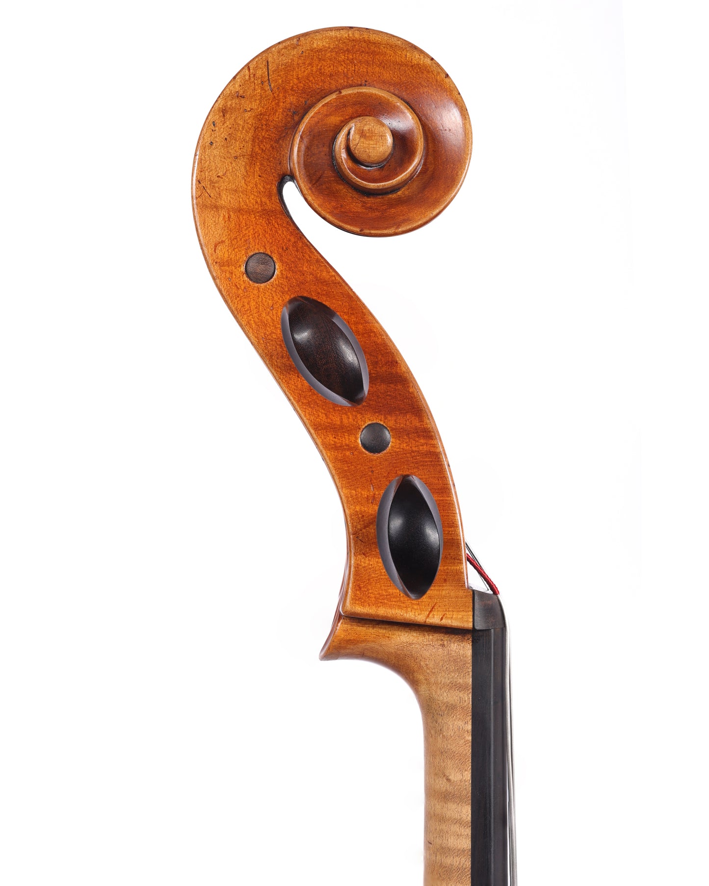 TOPA workshop cello, Zakopane, POLAND, 2025 | Metzler Violins