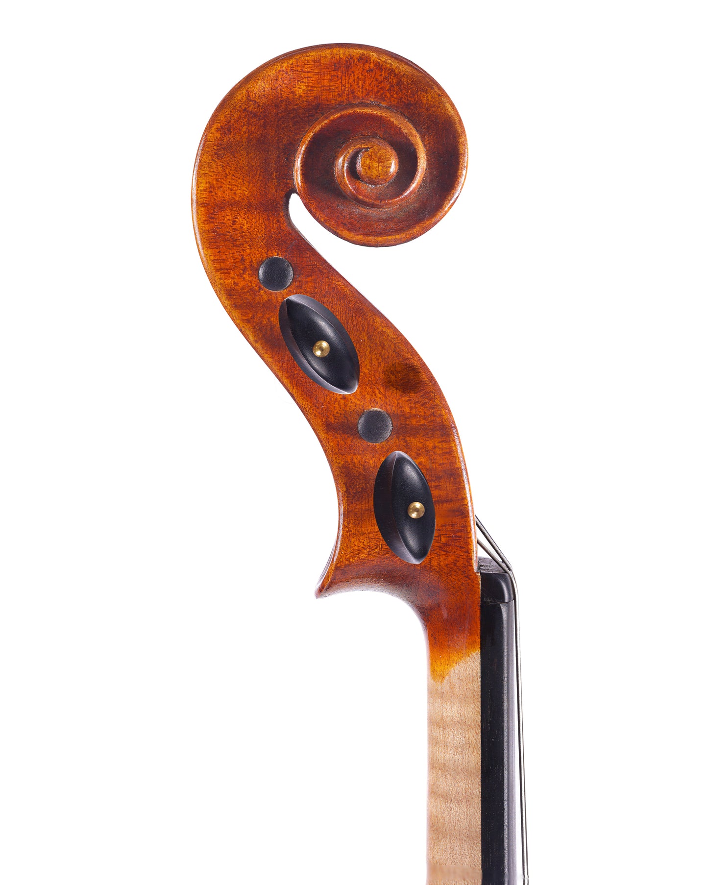 Mietek Rusnak 15 1/2" viola, 2023, Chicago | Metzler Violins