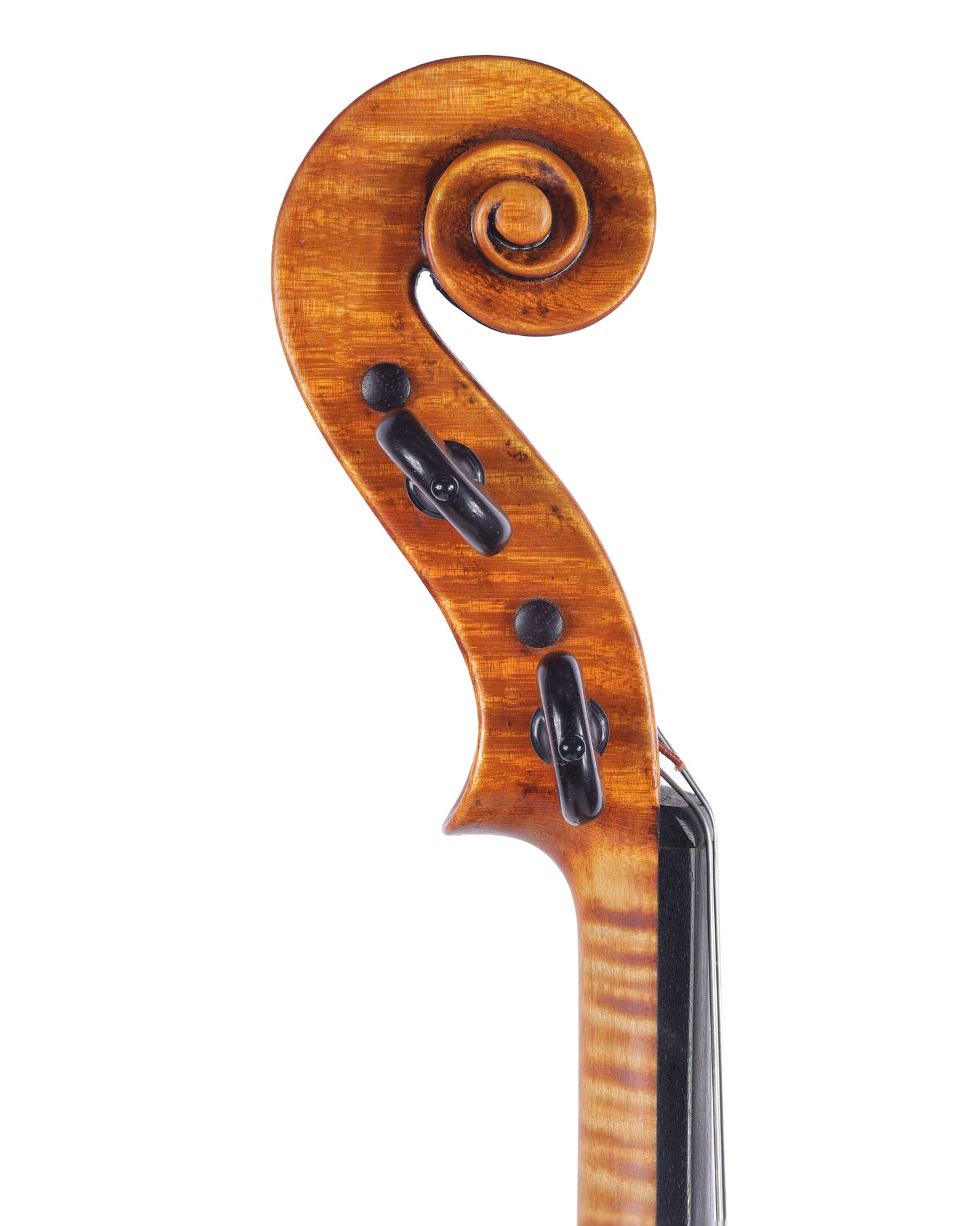 Gaspar Borchardt violin, 1998, Cremona, ITALY | Metzler Violins