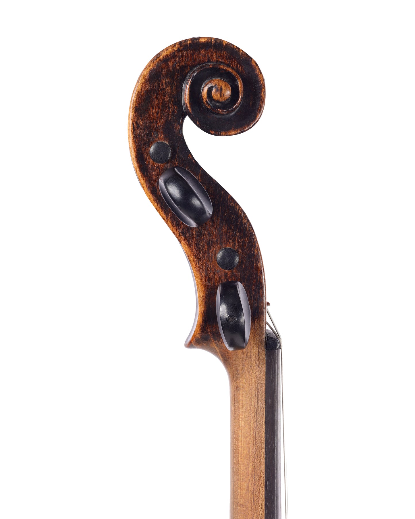 "Giorgio Kloz (Klotz) in Mittenwald" label violin | Metzler Violins