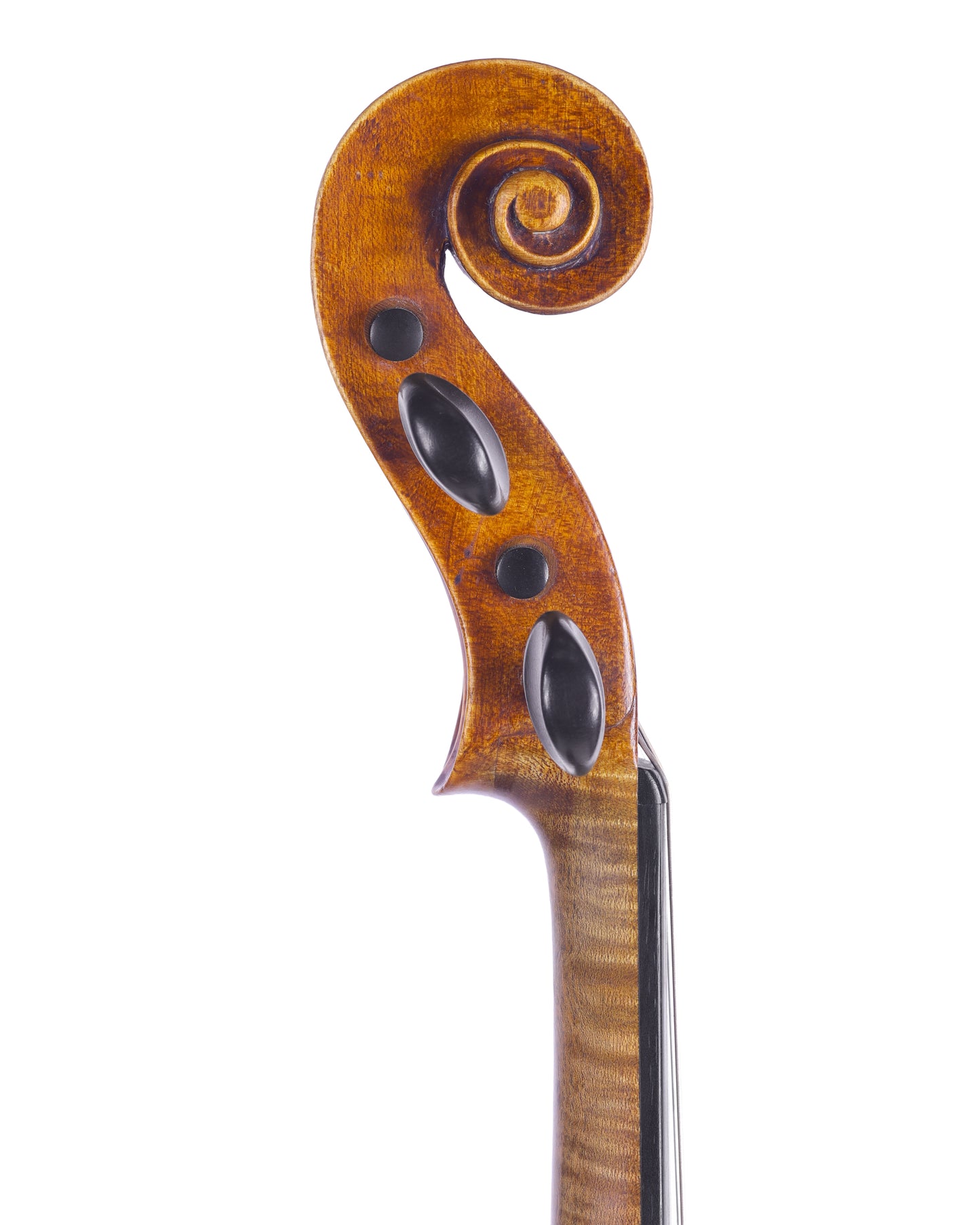 "J.F. Lorenz 1793" label violin | Metzler Violins