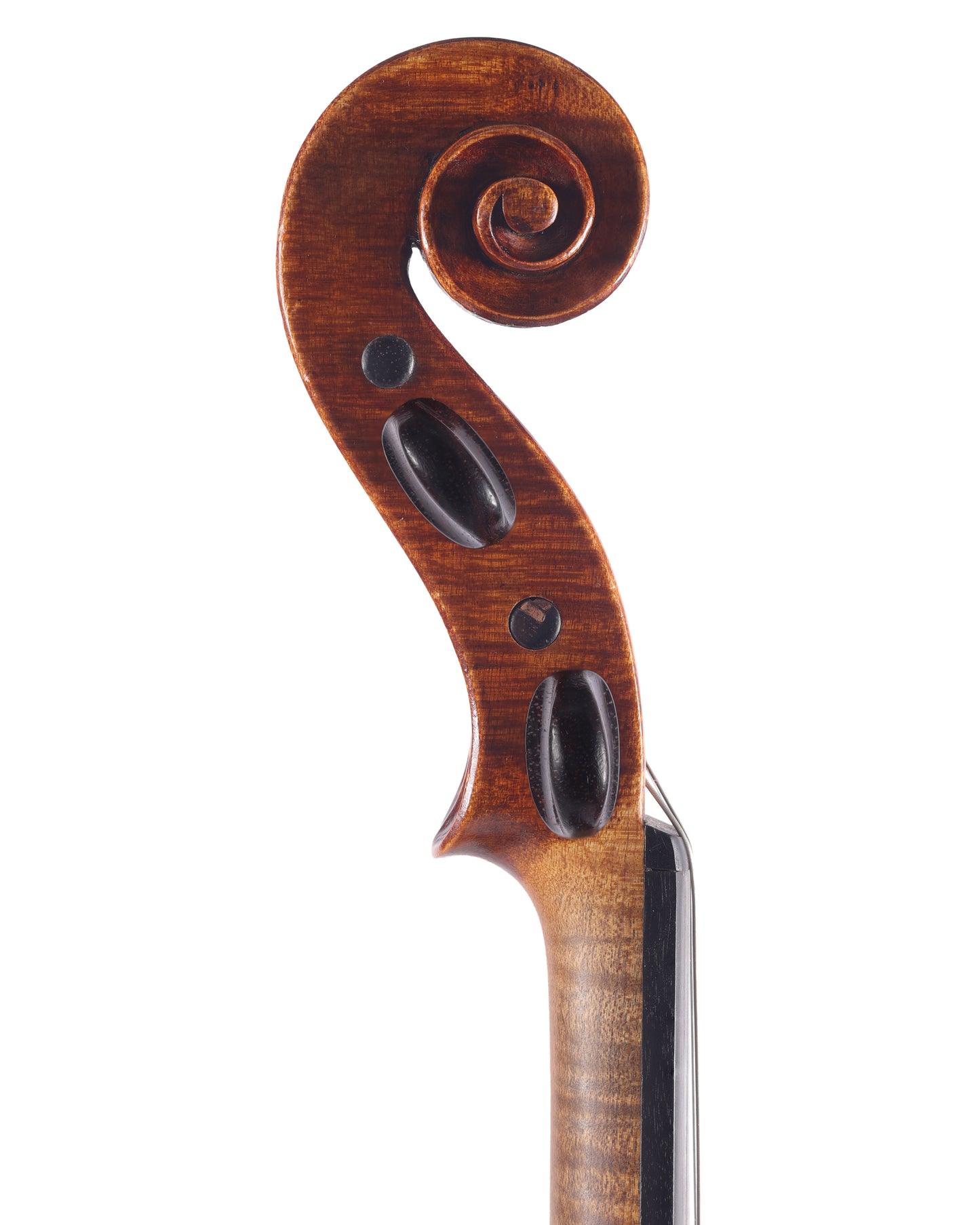 JOHN MARSHALL violin, Aberdeen 1901 | Metzler Violins