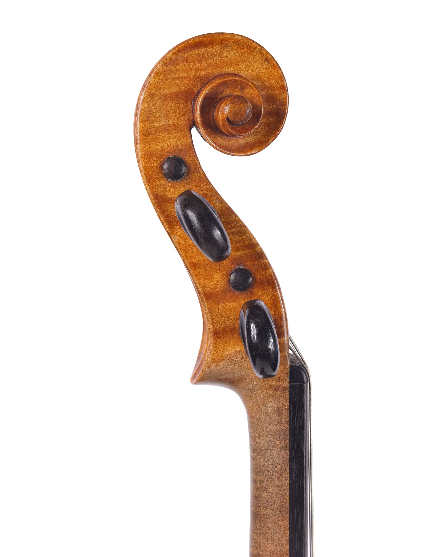Knute Reindahl violin, Chicago 1902, No. 64 | Metzler Violins