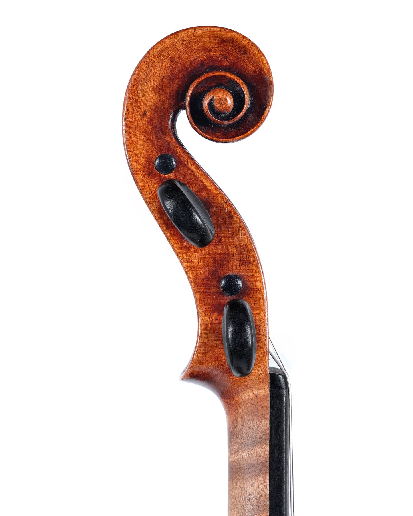 Sebastian Klotz violin, 1748, Mittenwald, Warren certificate | Metzler Violins
