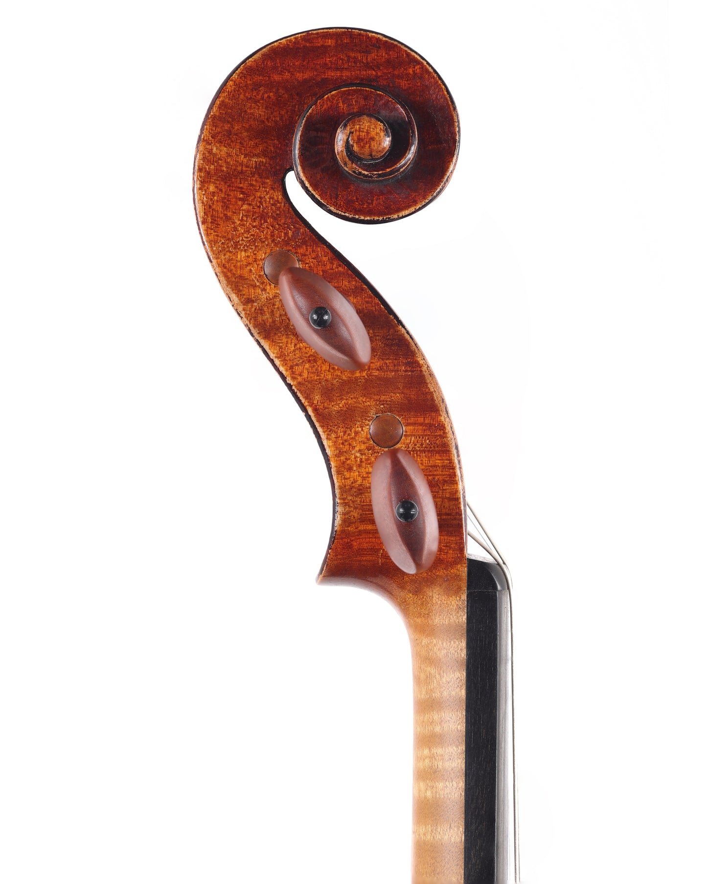 Ute Zahn Strad model violin, 2024, Minneapolis, MN | Metzler Violins