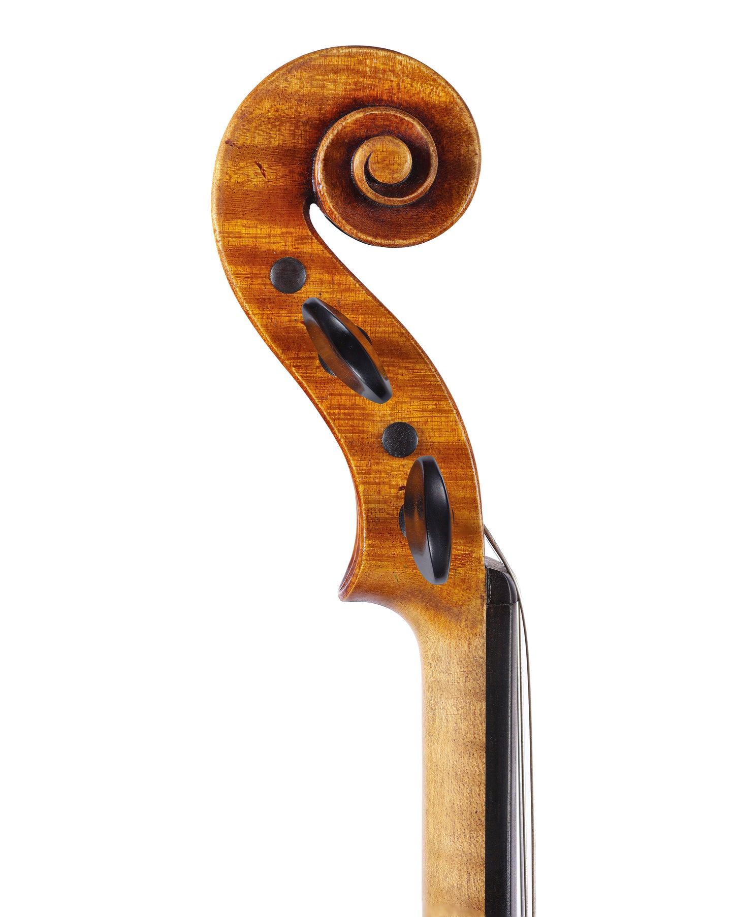 Gerrit Johan Maurer violin, 2013, Lakewood | Metzler Violins