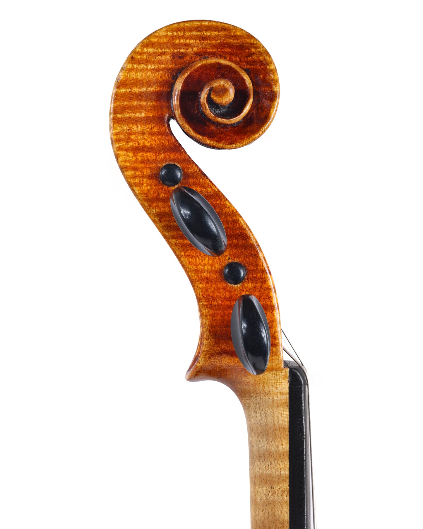 Lorenzo Locatelli violin, Cremona, 2005 | Metzler Violins