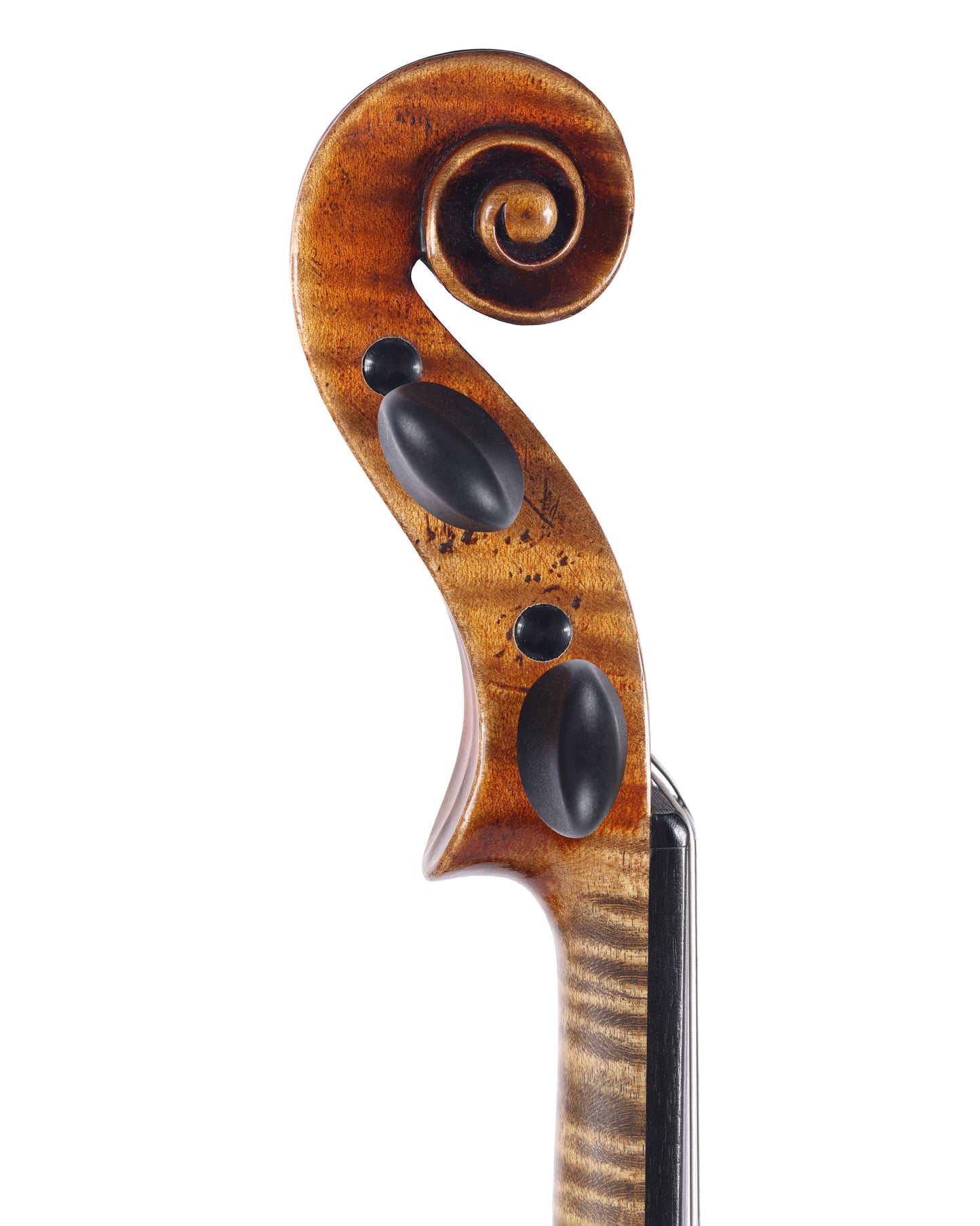 "Nicolaus Amatus 1699" label violin, ca. 1920, Germany | Metzler Violins