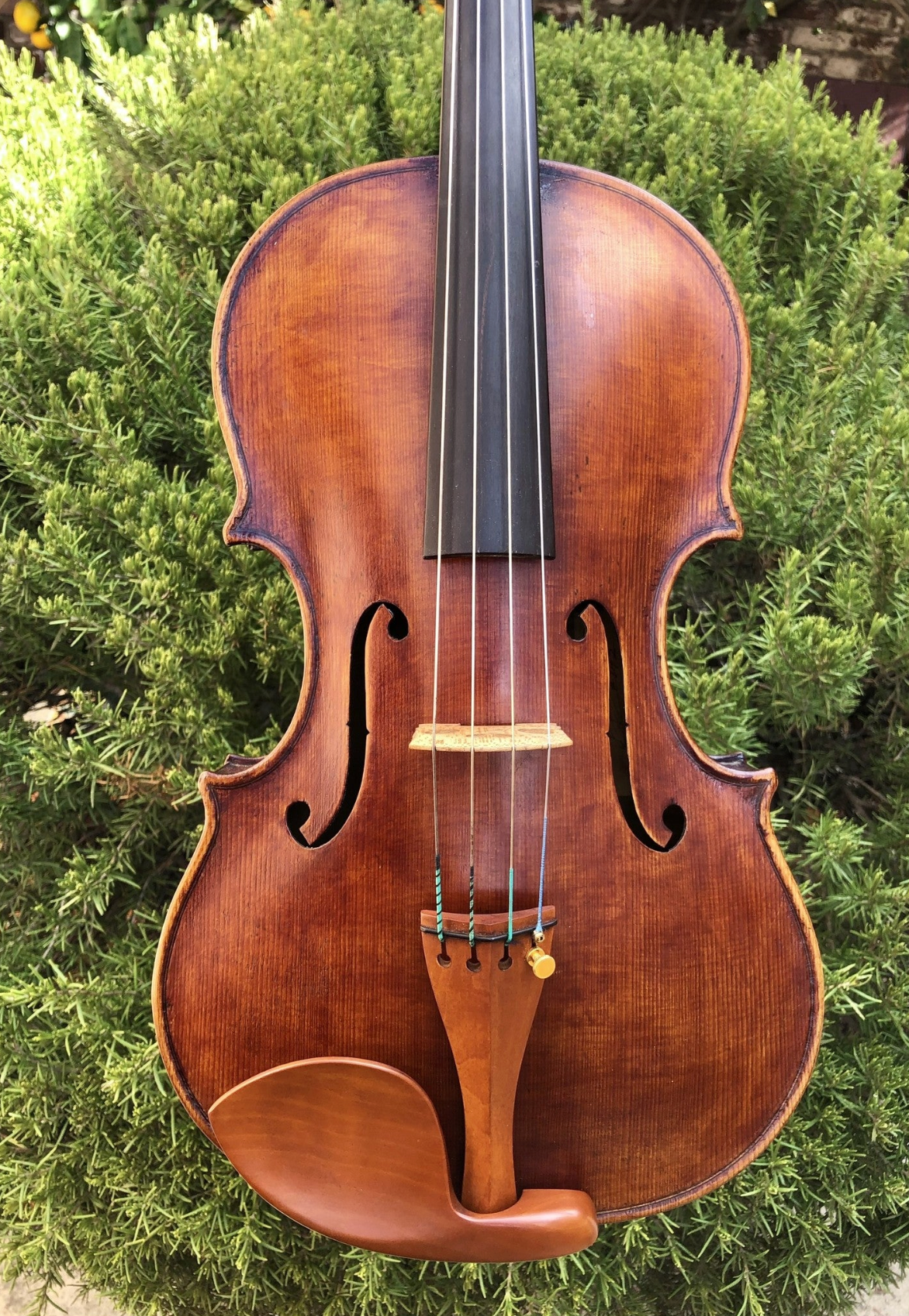 Douglas Cox 15 1/2" viola #942, "Gaspar da Salo", 2017, Brattleboro, Vermont | Metzler Violins