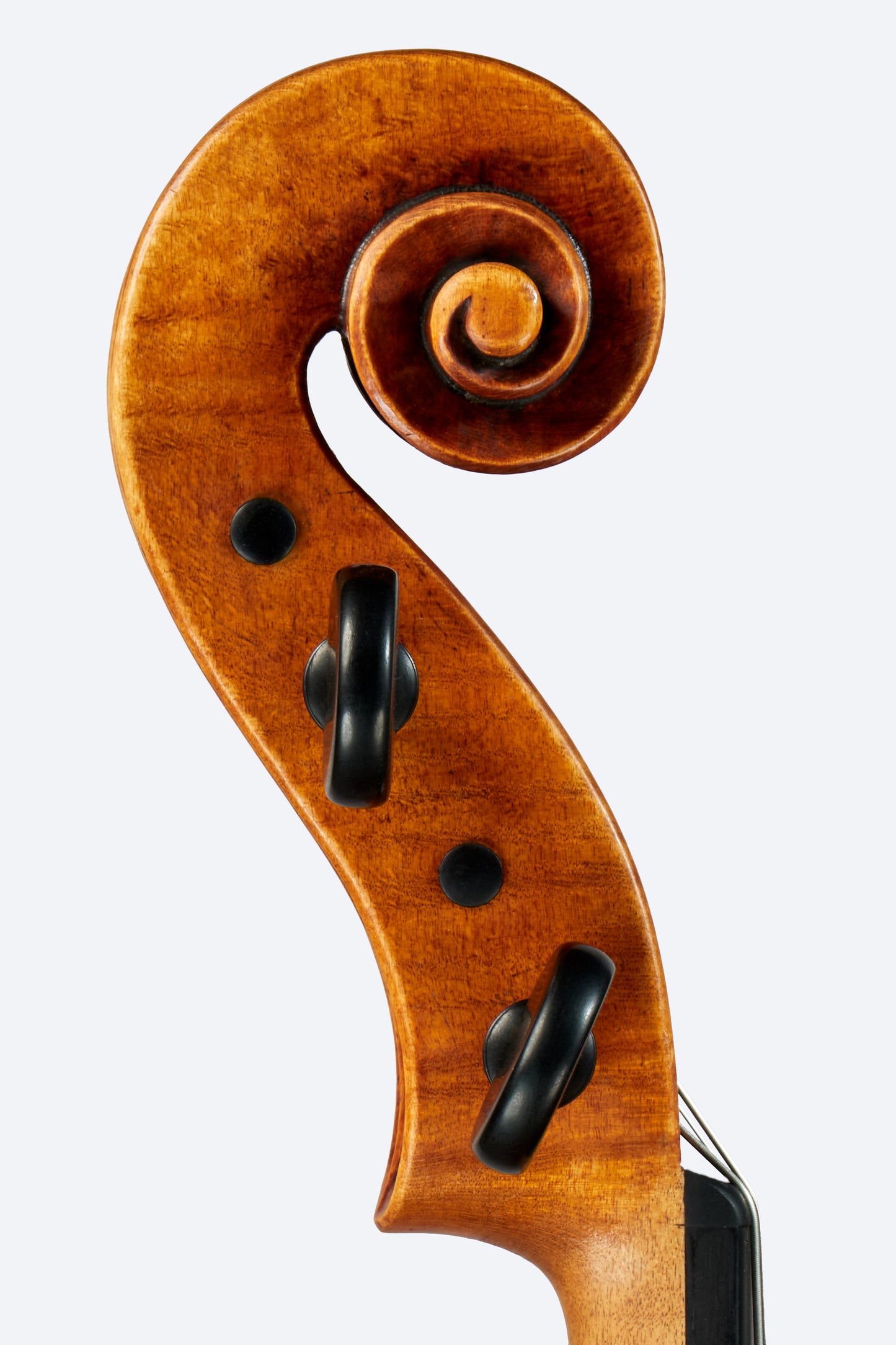 Guillaume Turgeon 16.5" viola, Montreal, 2025 | Metzler Violins