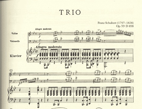 Schubert, F.: Piano Trios Op.99 in Bb, Op.100 in Eb