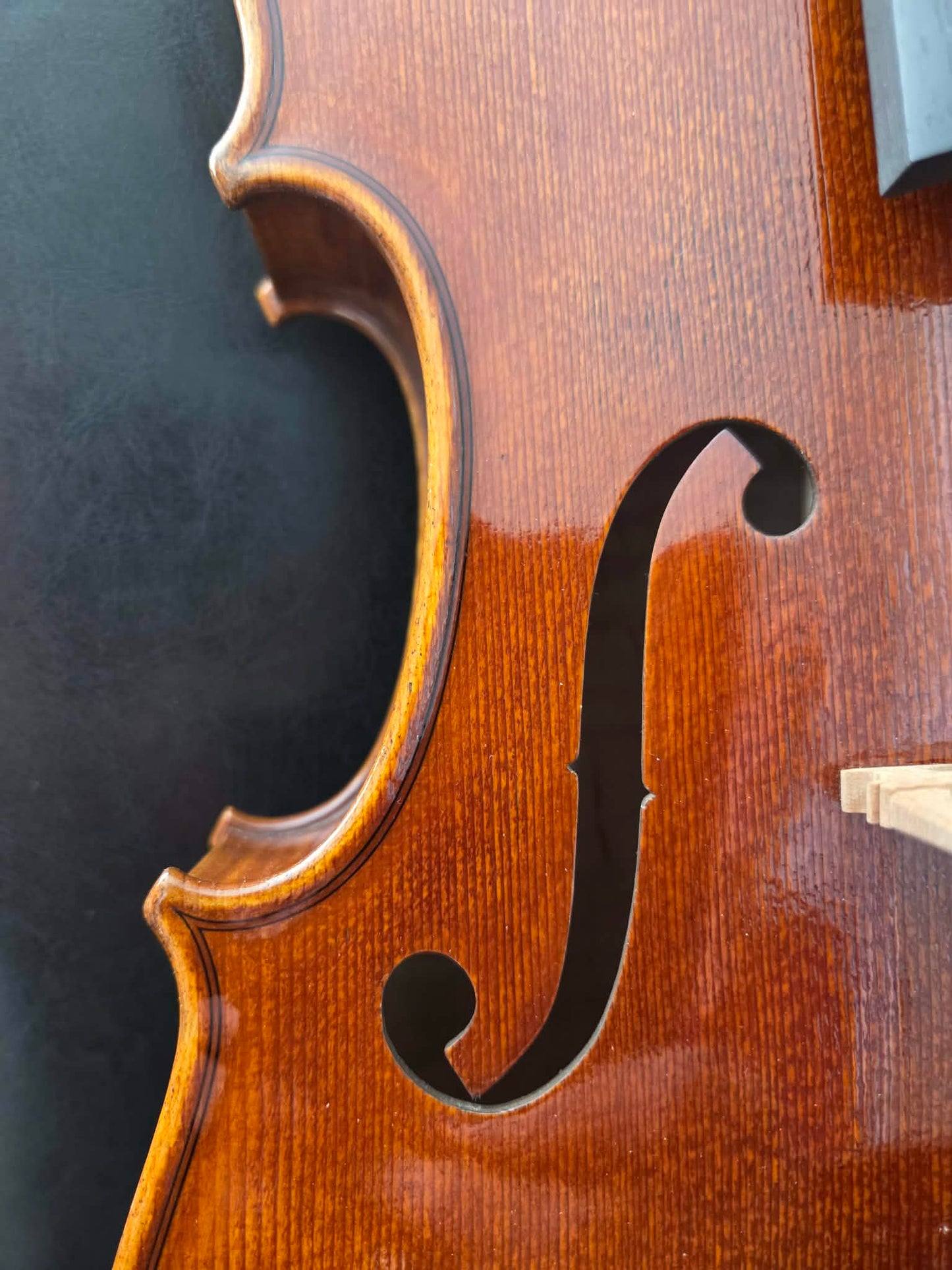 Stanley Kiernoziak 15 3/4" viola, one-piece back, Chicago, IL, 2025 | Metzler Violins