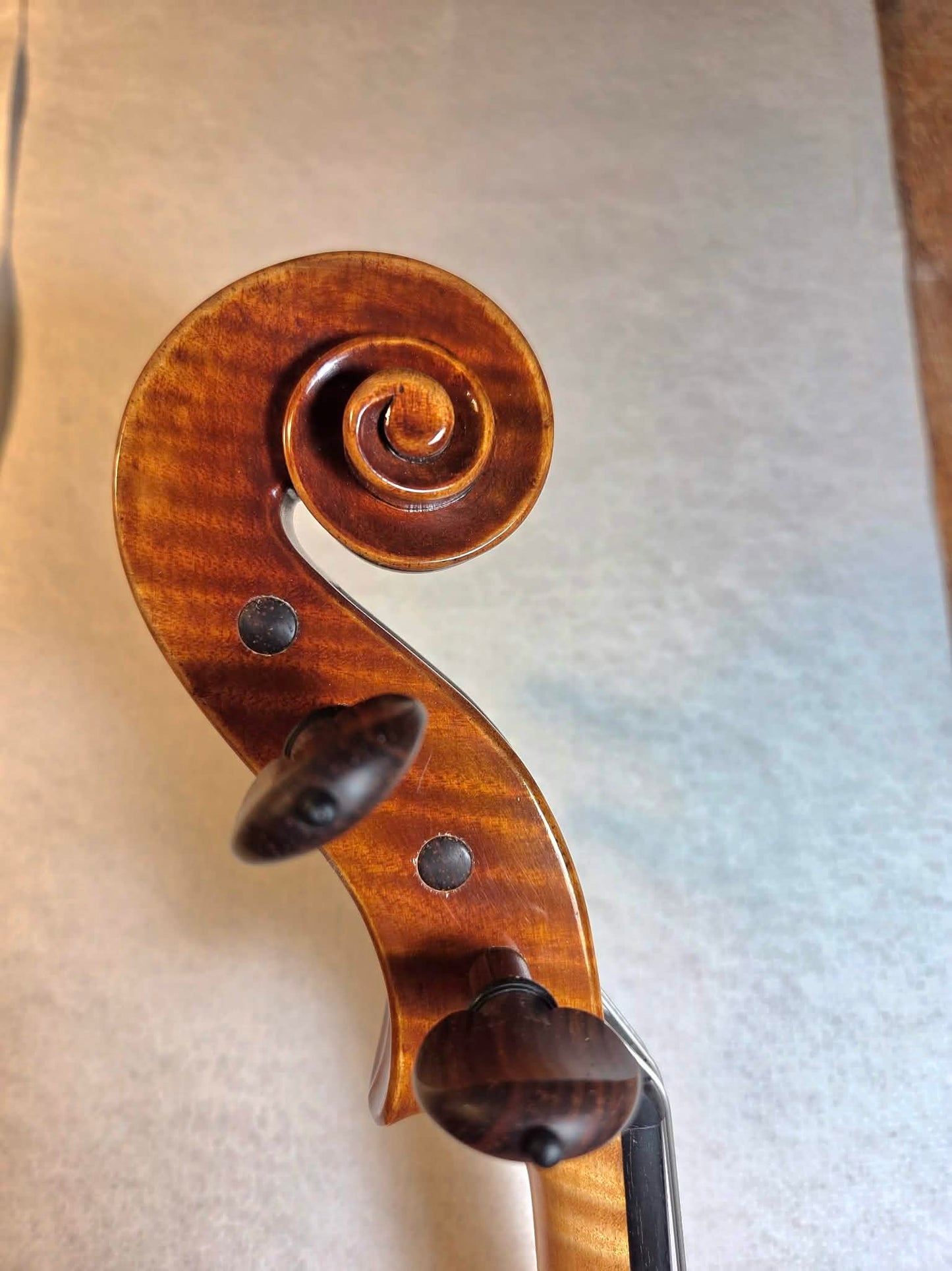 Stanley Kiernoziak 15 3/4" viola, one-piece back, Chicago, IL, 2025 | Metzler Violins