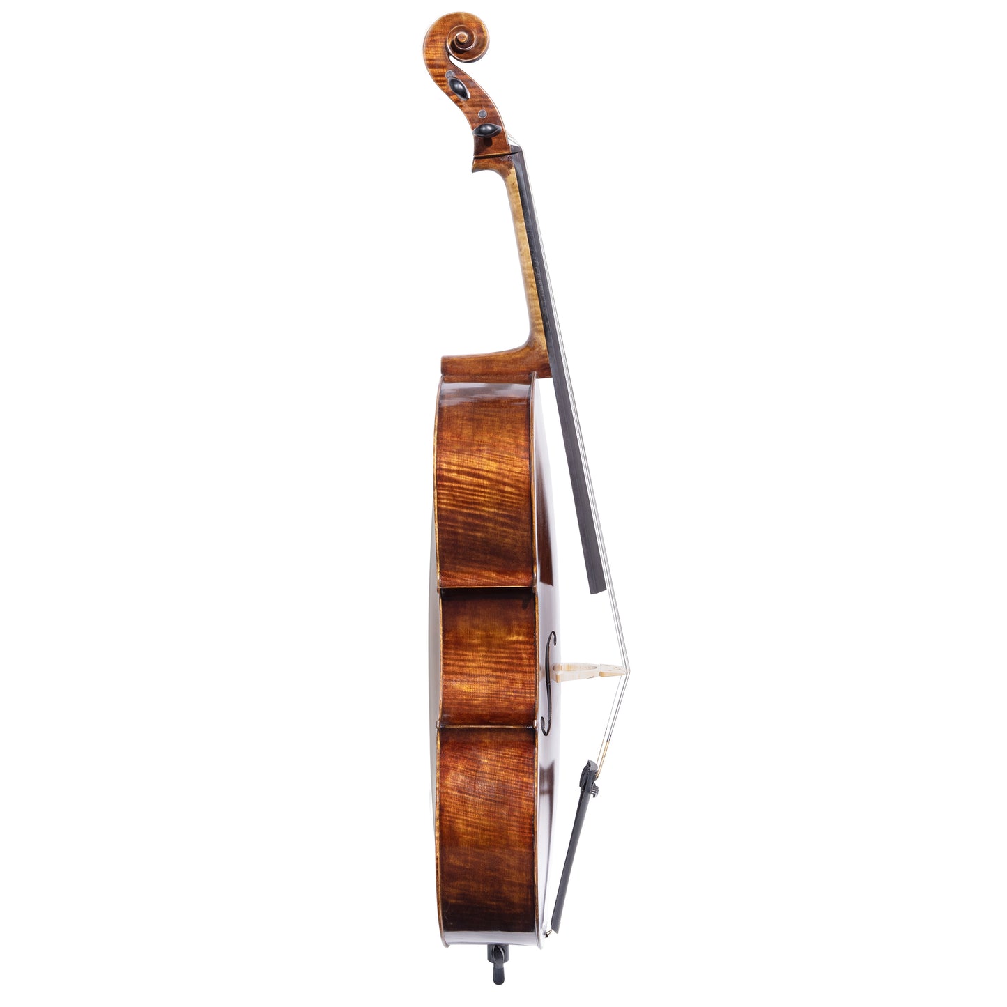 Nocturne Deluxe 4/4 cello, with Wittner pegs | Metzler Violins 2024