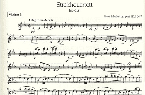 Schubert, F.: String Quartet Op.post.125 in Eb
