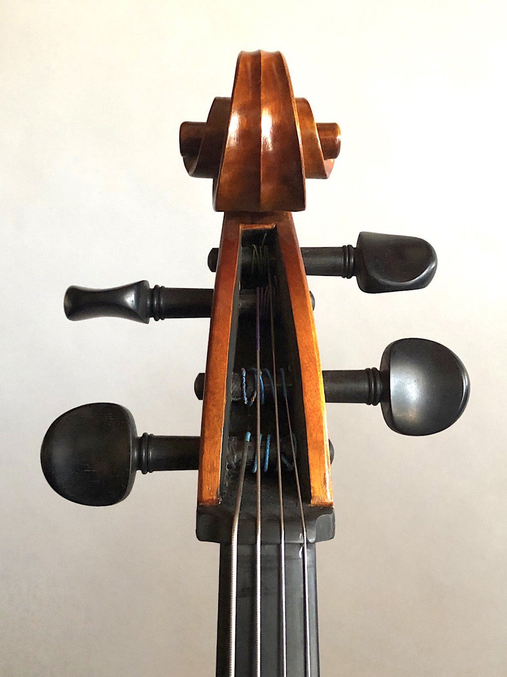 Serafina DX 4/4 cello, fully carved, with free bag, bow, rosin & polish cloth | Metzler Violins