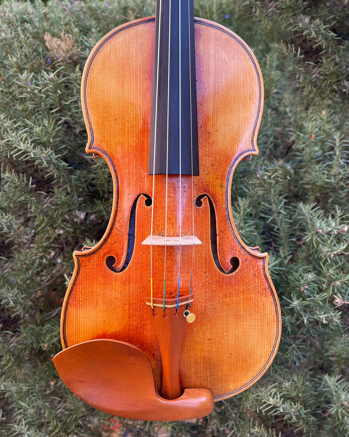 Michael Daddona violin, 2020, Connecticut, USA