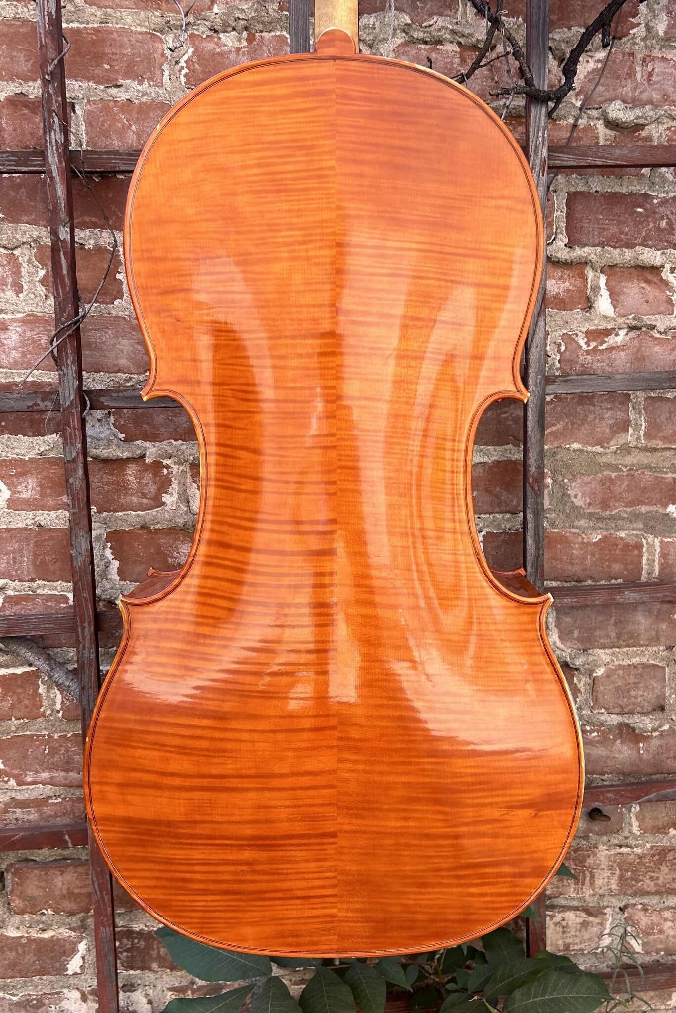 Bertrand Yves Delisle cello, 2007, Cremona | Metzler Violins