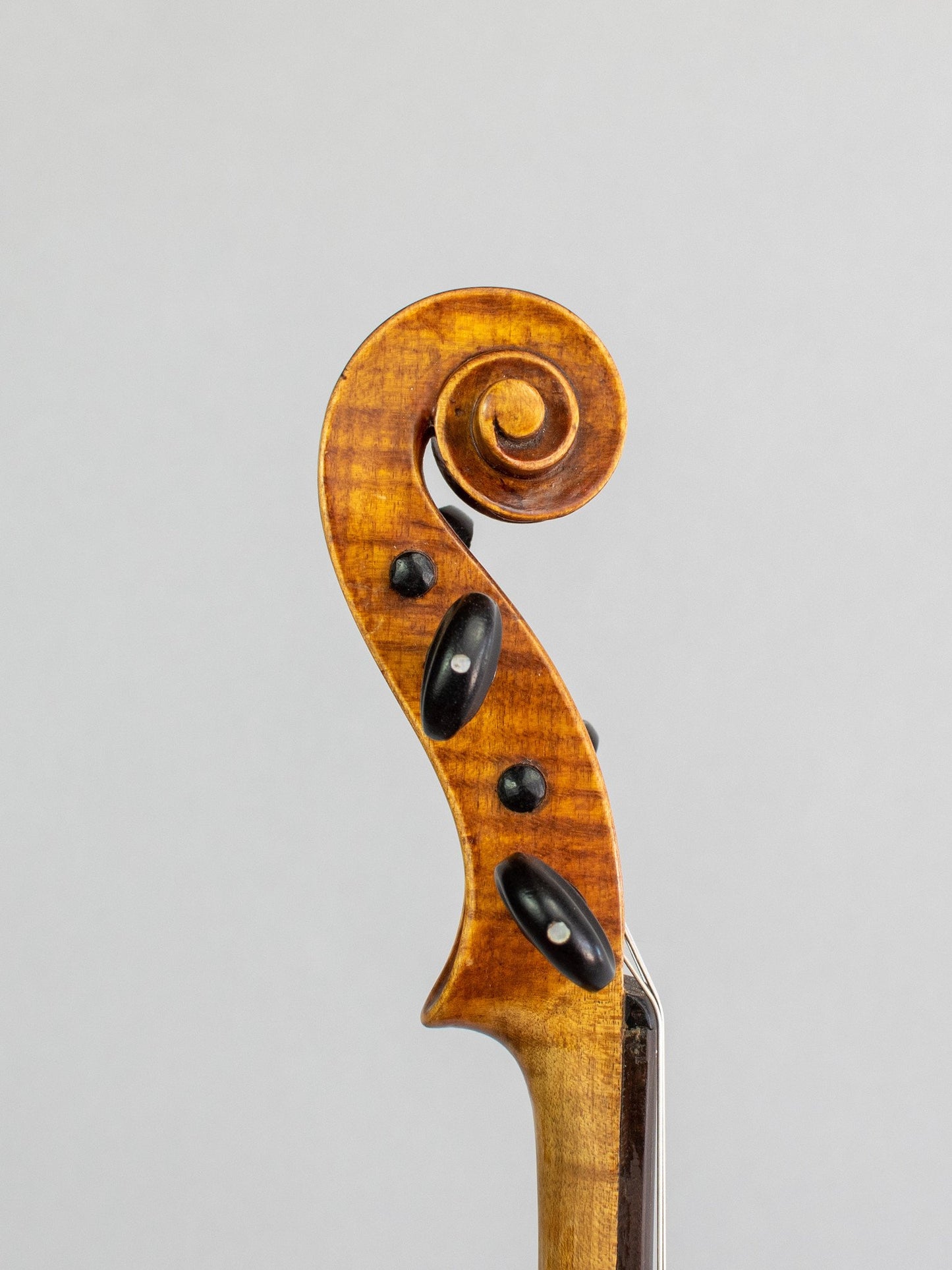 Double-purfled old European violin, unlabeled