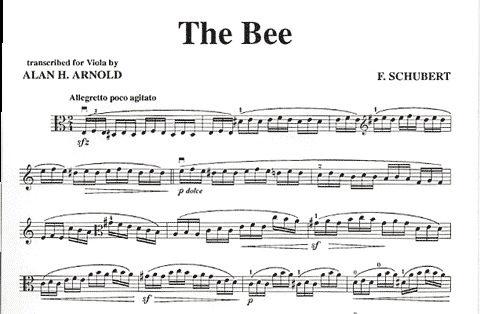 Schubert, Franz (Arnold): The Bee (viola & piano)