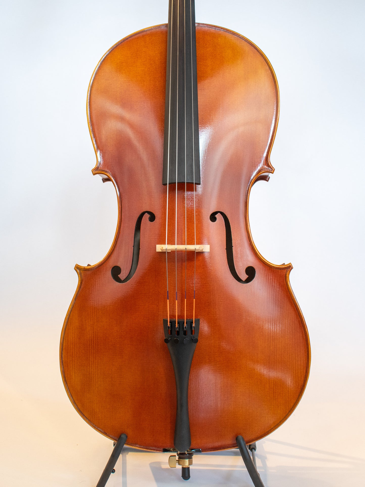 Serafina DX 4/4 cello, fully carved, with free bag, bow, rosin & polish cloth | Metzler Violins