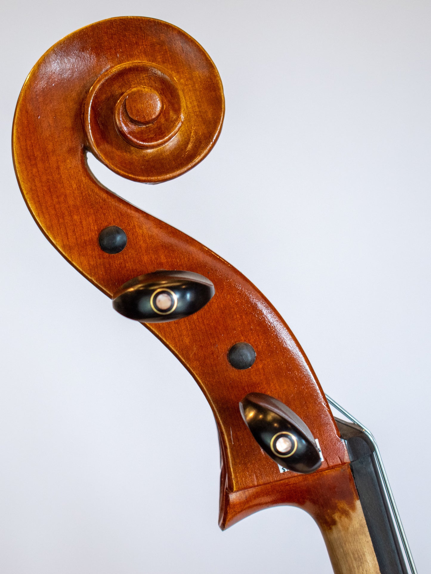 Serafina DX 4/4 cello, fully carved, with free bag, bow, rosin & polish cloth | Metzler Violins