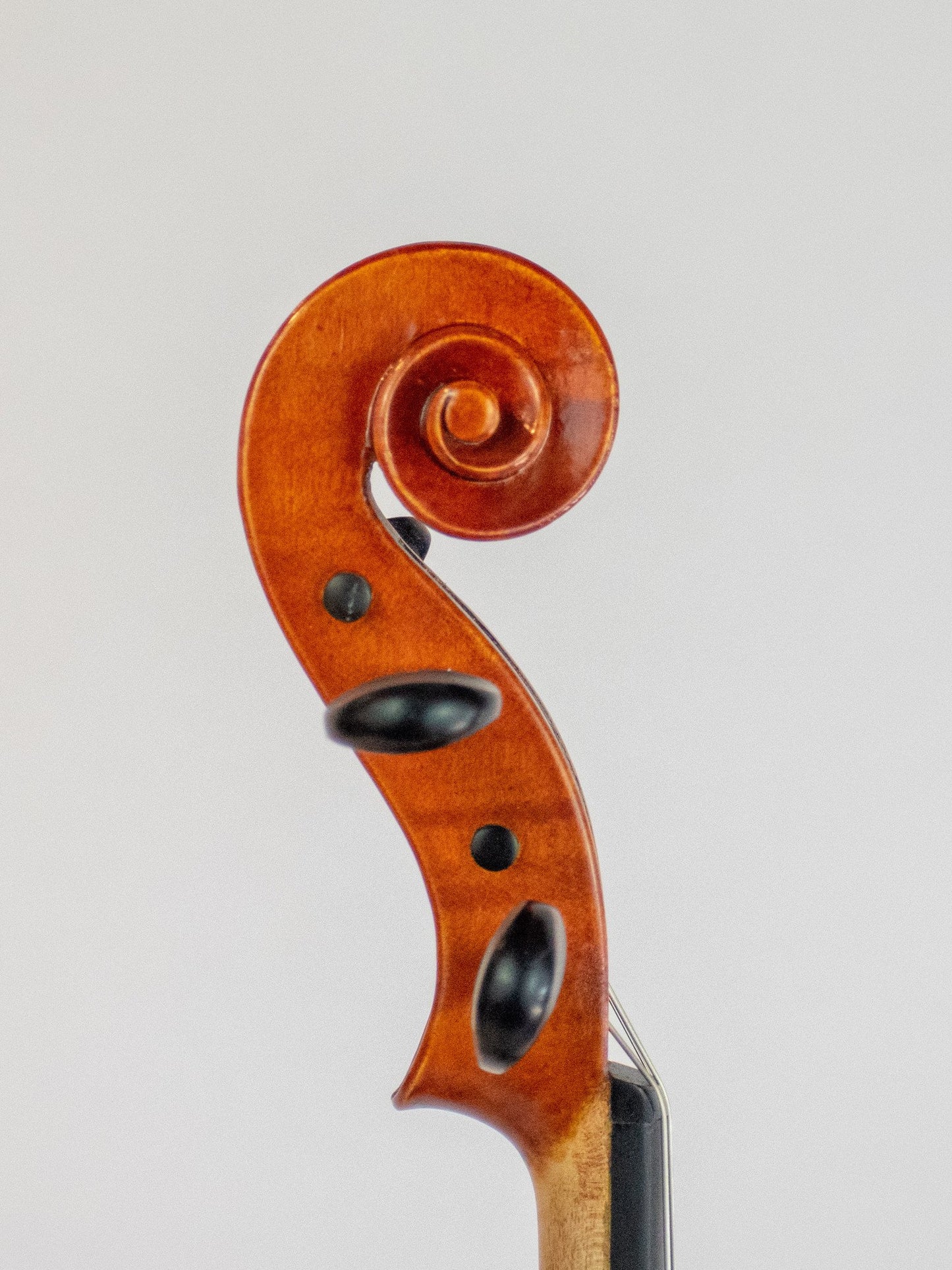 John Hill 16 1/4" viola, no. 17, 2006, Eugene, OR, USA