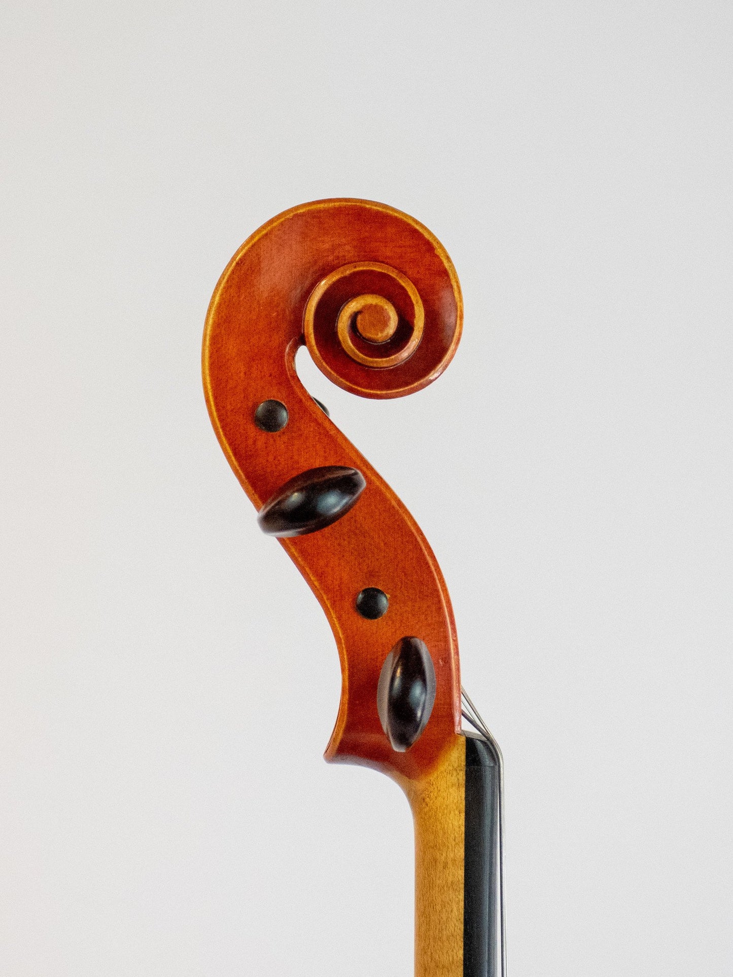 Joseph Grubaugh 16 1/4" viola, 1982, San Francisco, USA