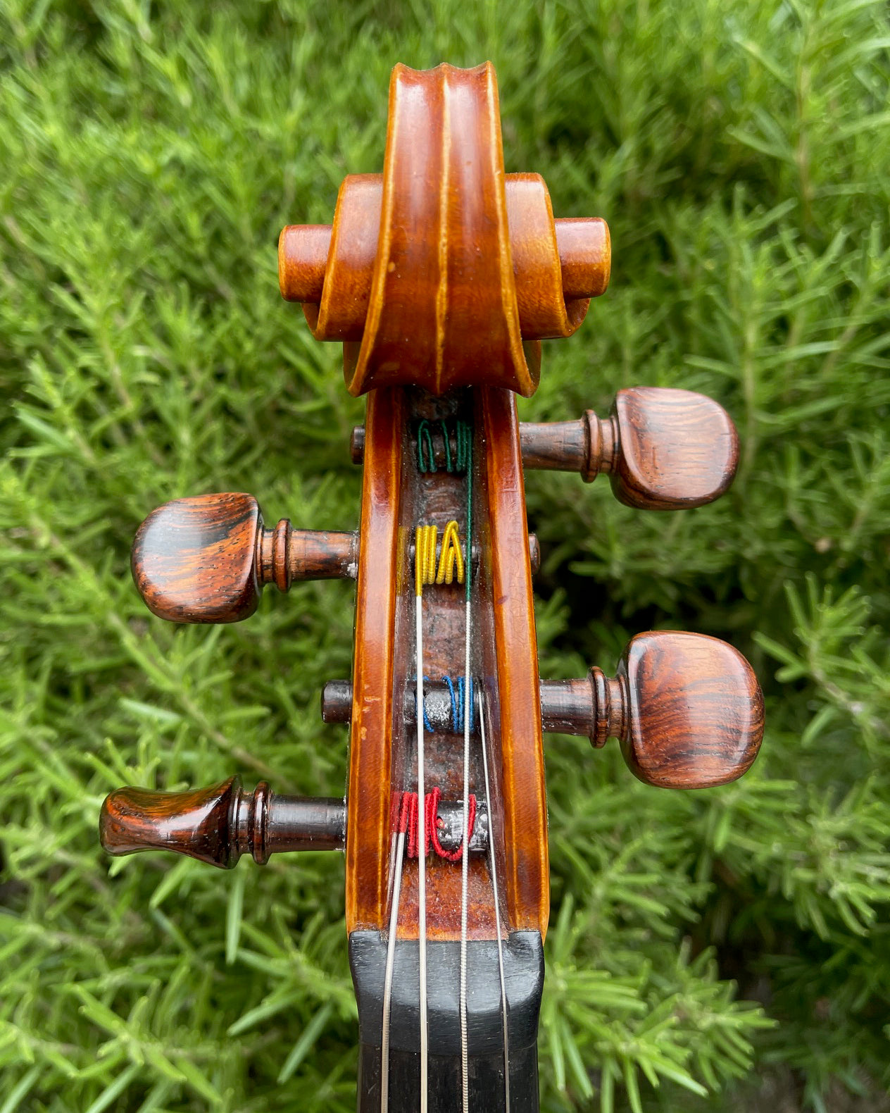 Louis Grand 16" viola, 1981, Highland, New York | Metzler Violins