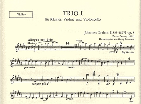 Brahms, Johannes: Piano Trios-Complete (violin, cello, piano)