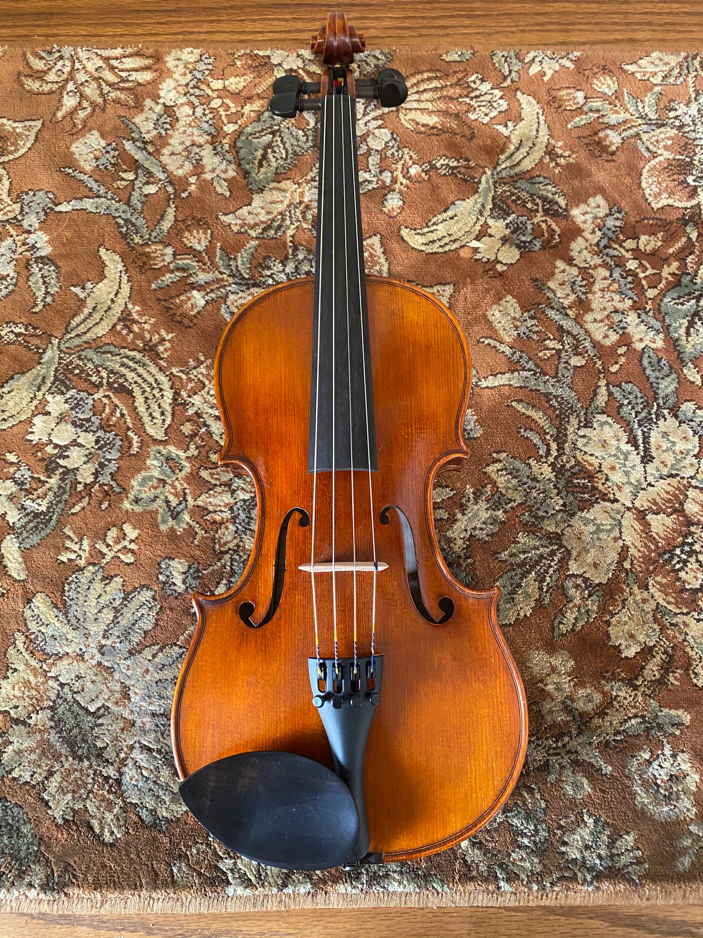 Angel Taylor antiqued 14" viola outfit model 320 by Century Strings