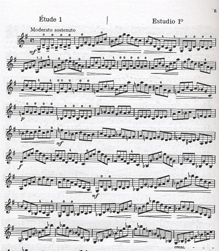 Laoureux, Nicolas: Supplement 1 to A Practical Method for Violin